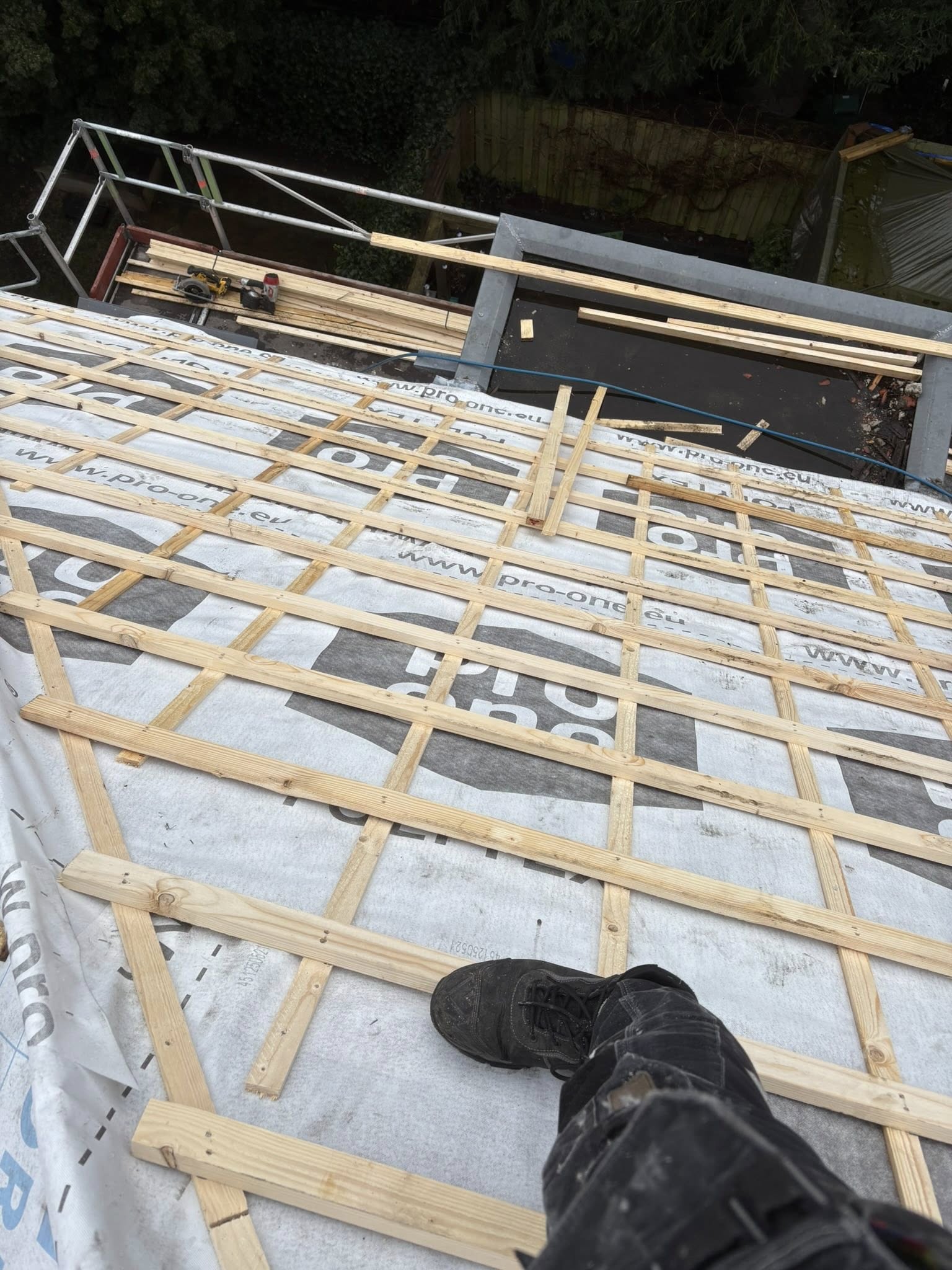 644453638_1482124843920584_8150435733911976686_n