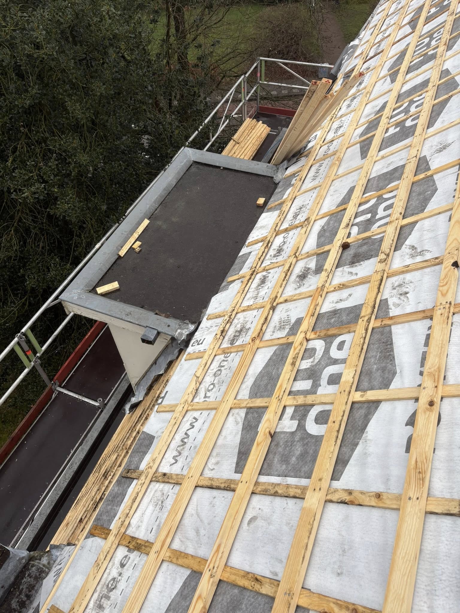 644461712_1482124850587250_8178083523971402966_n