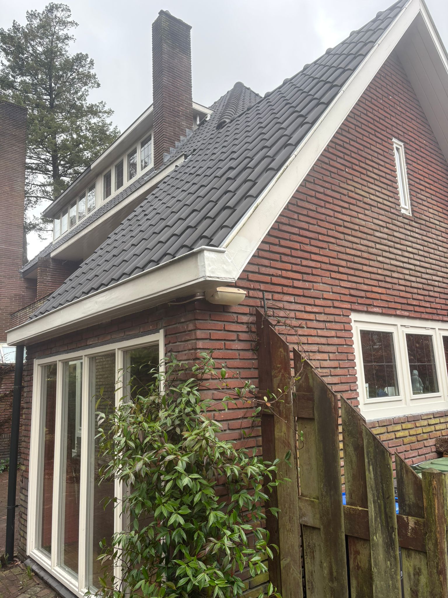 WhatsApp Image 2026-03-06 at 12.08.23 (1)