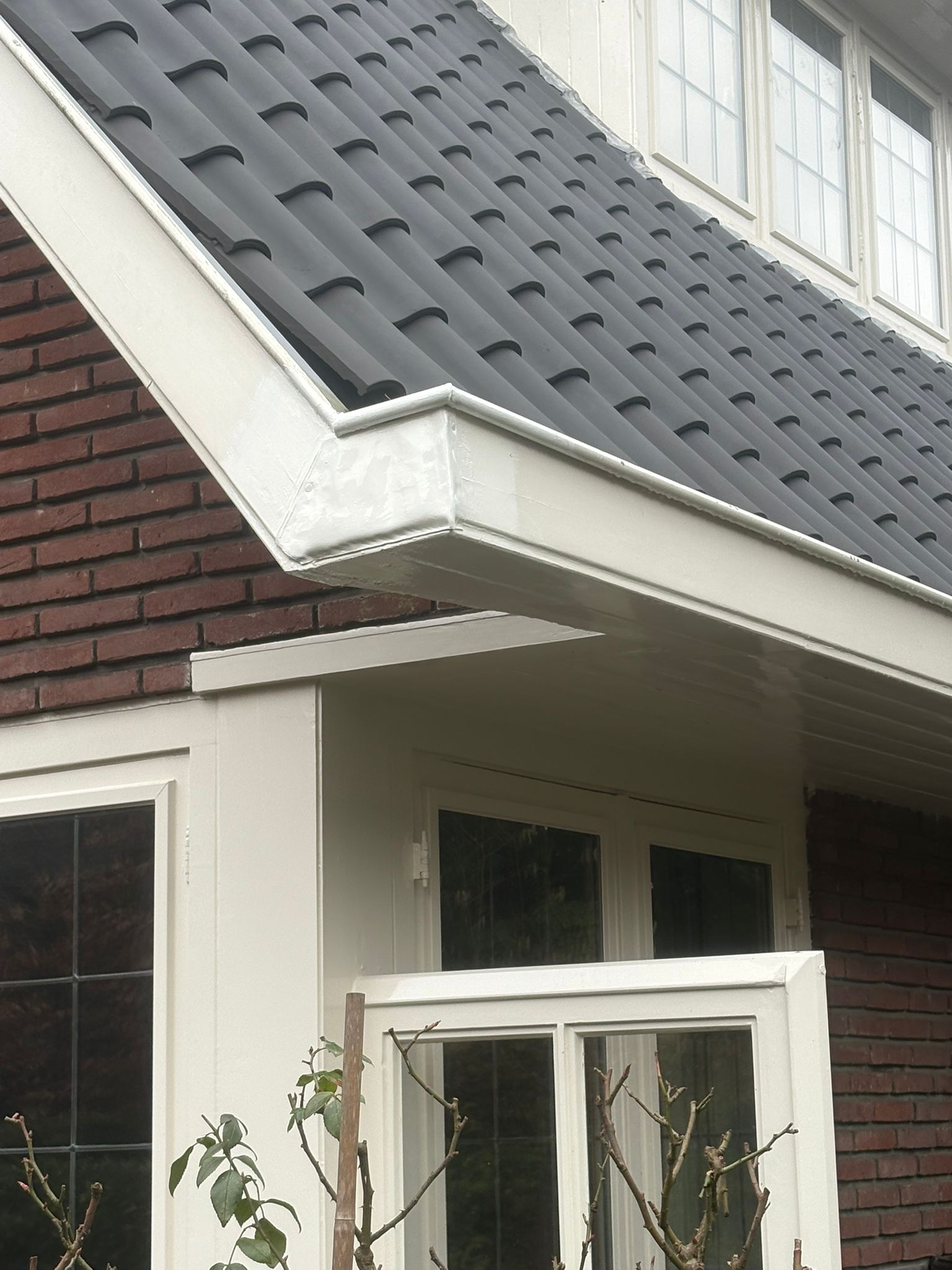 WhatsApp Image 2026-03-06 at 12.08.23 (2)